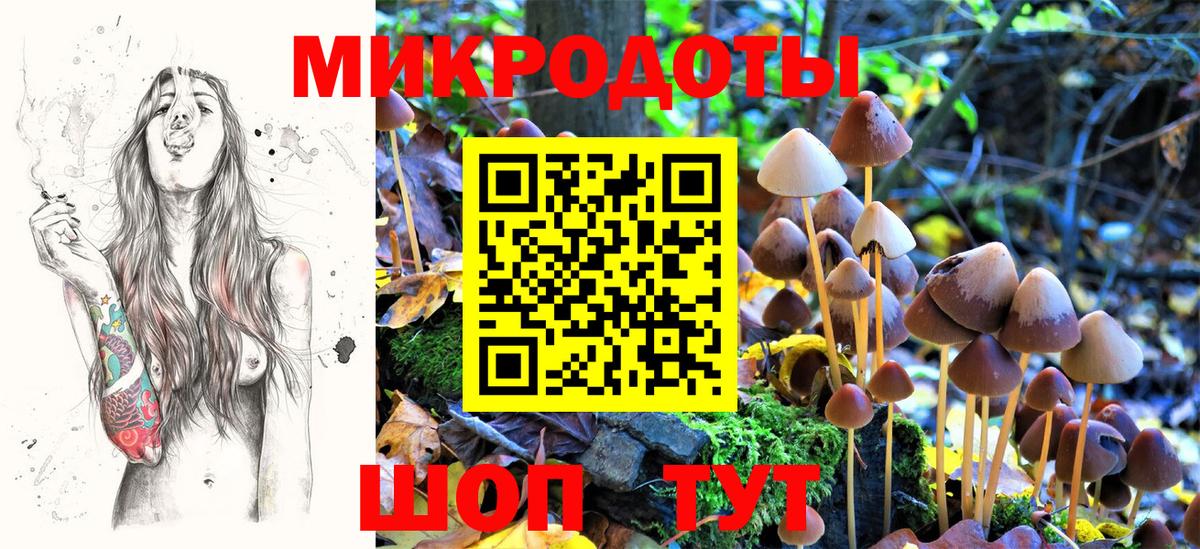 Галлюциногенные грибы мухоморы Дербент