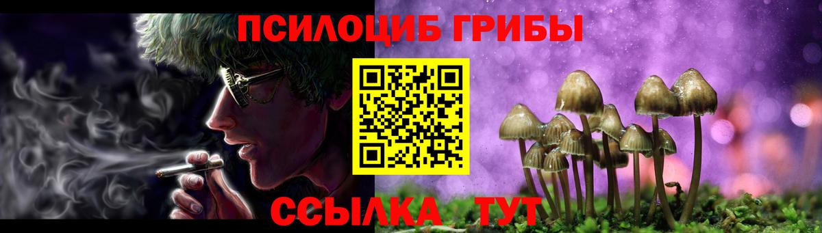 что такое наркотик  Вход с VPN  Дербент  Псилоцибиновые грибы Psilocybe 